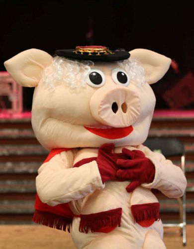 Komische striptease show miss piggy